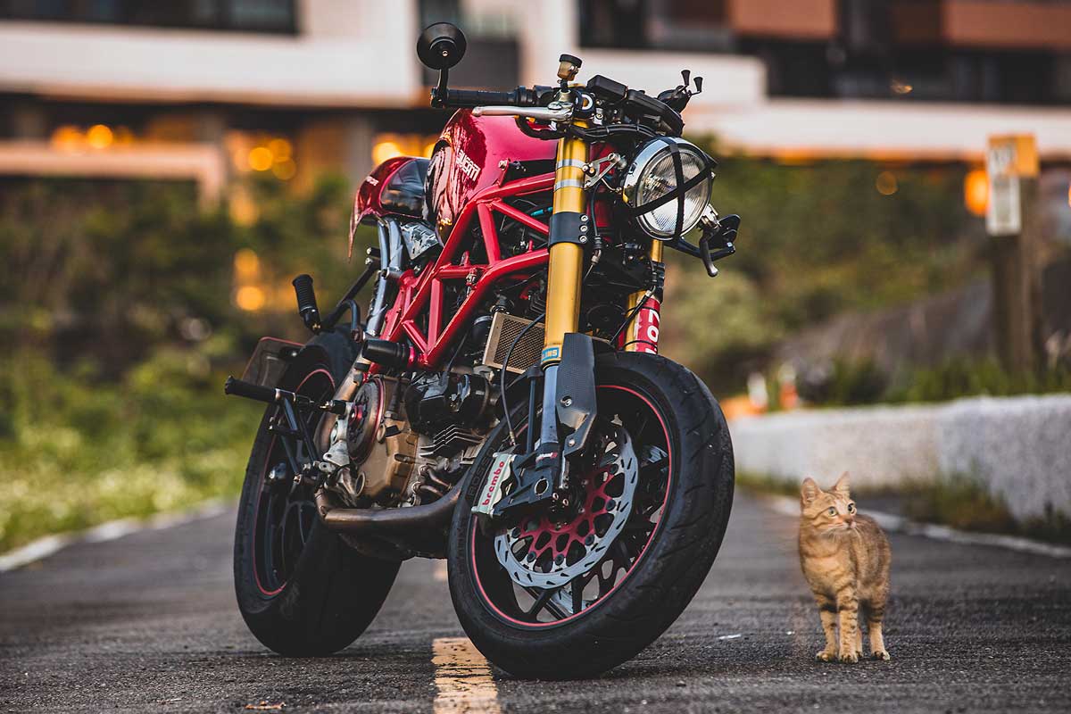 Ducati Hypermotard cafe racer