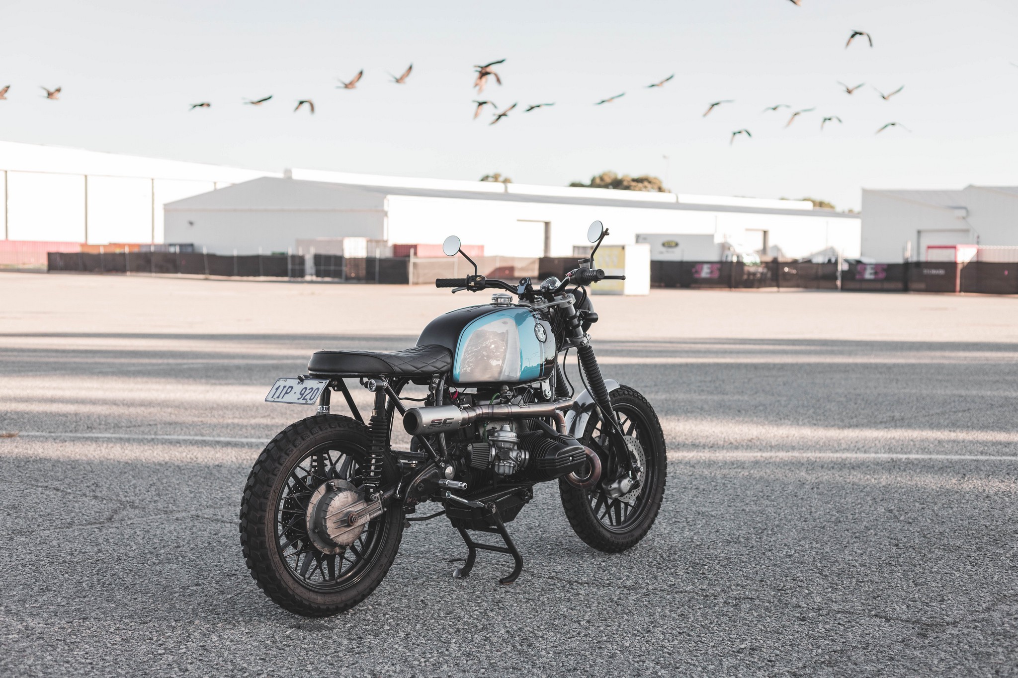 BMW Street Scrambler with birds