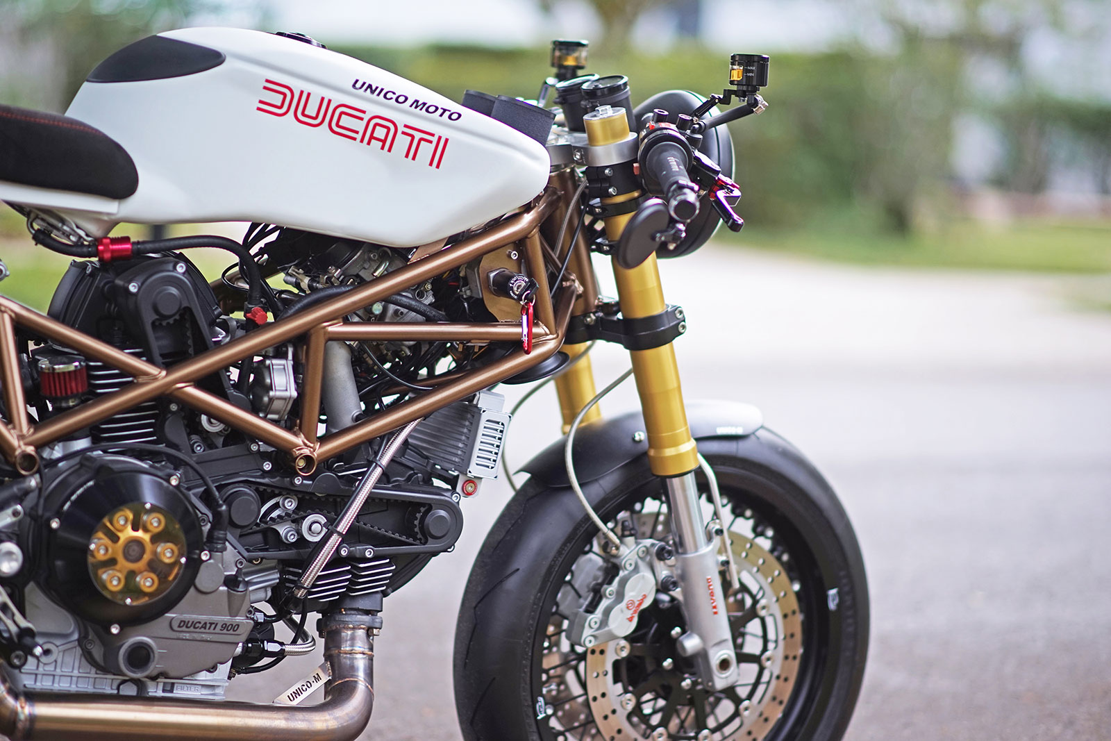 Unico Ducati Monster