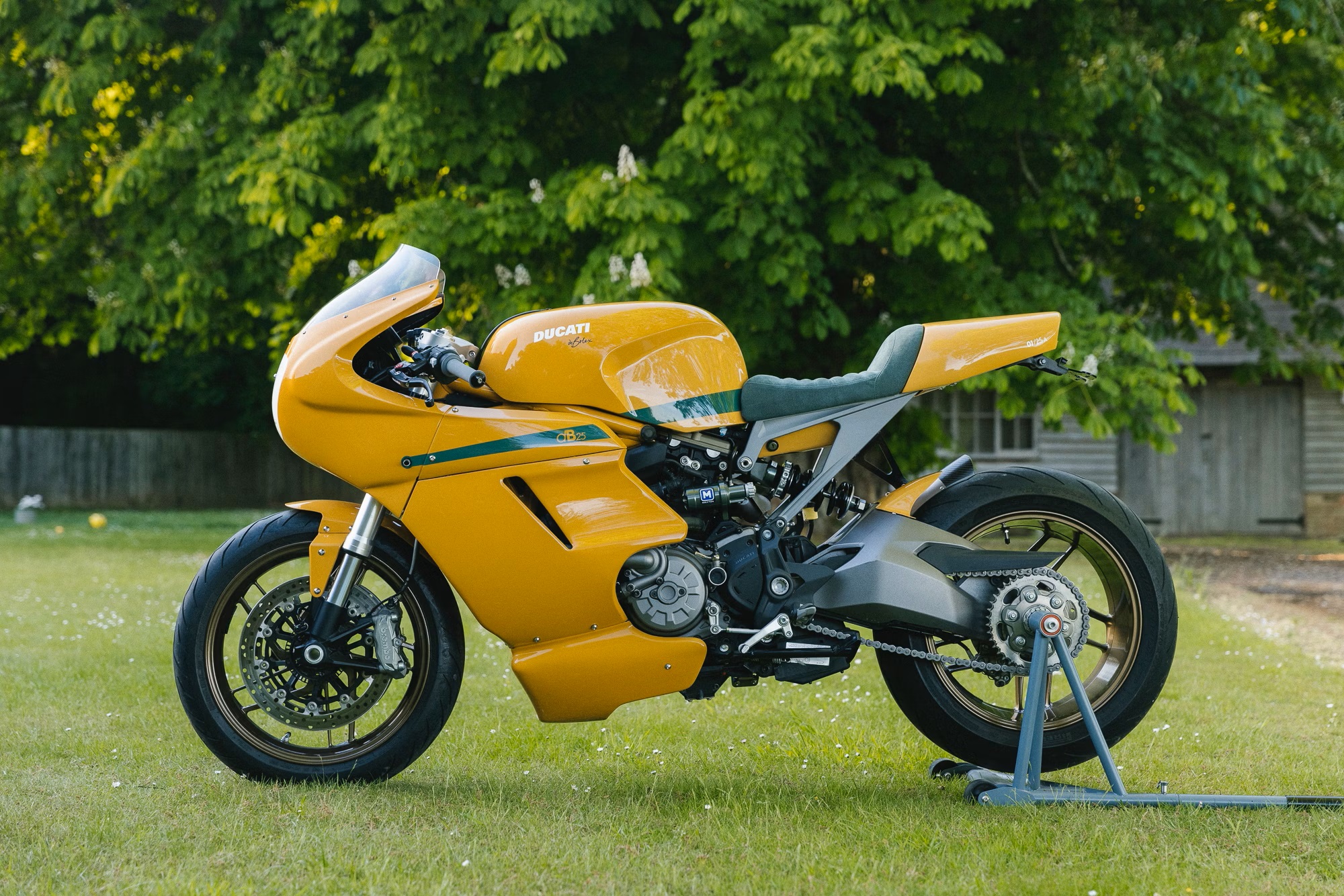 Ducati monster 883 sales